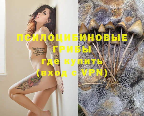 Альфа ПВП Алзамай