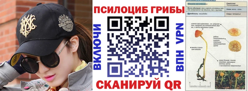 Галлюциногенные грибы Psilocybine cubensis  Ардатов 